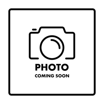 Photo coming soon. Photo button. Place or button for avatar or profile photo. Vector