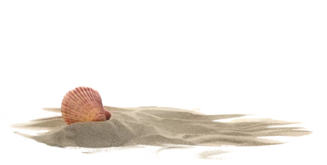 Foto auf Acrylglas Unterwasser Sea shell in sand pile isolated on white, side view