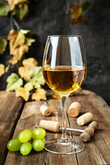 Glass of dry wine and ripe grape with grapevine