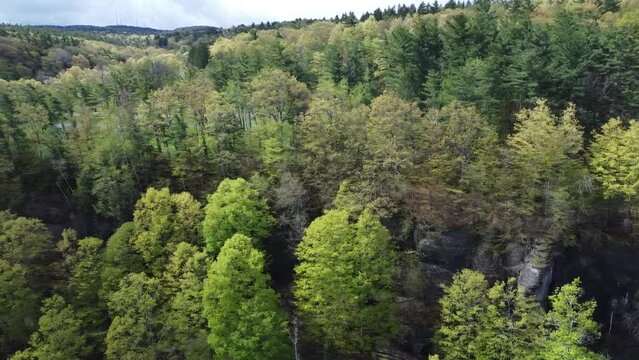 Thatcher Park