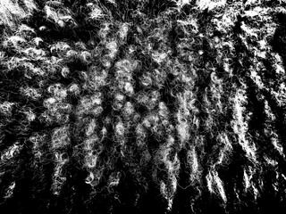 Sheeps hairs texture black and white. Grunge texture backdrop. 