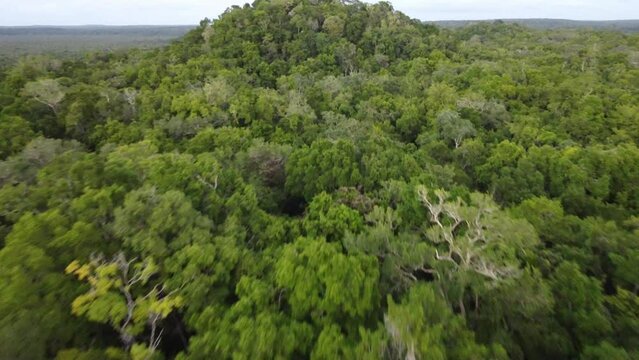 This footage was taken during a 5 Day hike in the ancient mayan jungle on the border between Mexico and Guatemala. A lot of biodiversity can be seen such as Howler- and Spidermonkeys.