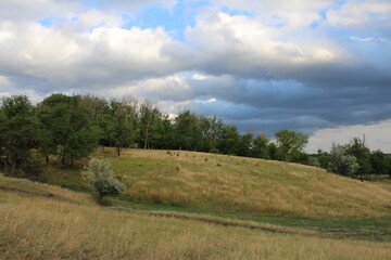 A grassy hill with trees and clouds in the sky