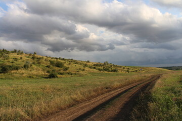 Fototapeta na wymiar A dirt road through a grassy field