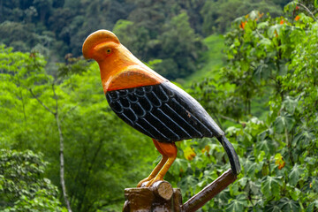 Animals of the Amazon jungle of Ecuador