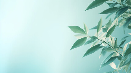 Mint background with natural light and leaves mockup template background