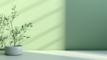 Fototapeta na wymiar Pastel green background with a plant