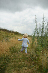 Naklejka na ściany i meble Little beautiful girl is walking in the field. Summer walks in the fields with flowers