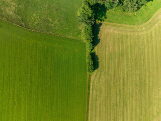 Aerial view of countryside farmland. Trees separating two fields from another in rural area.