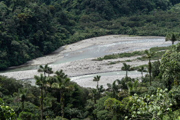 Fototapeta na wymiar Rivers of the Amazon rainforest with green landscape