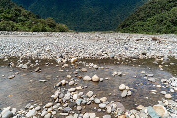 Rivers of the Amazon rainforest with green landscape