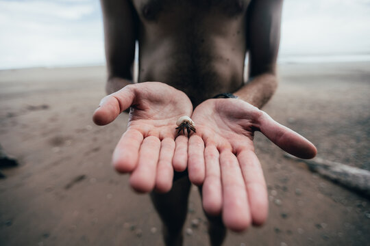 Crop black man holding little hermit crab