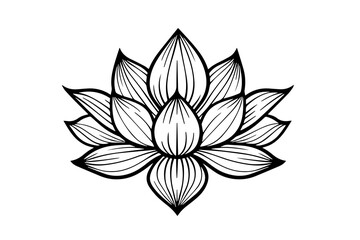 A lotus lily water flower in a vintage woodcut engraved etching style vector illustration.