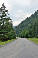 Fototapeta premium asphalt road in the forest among the mountains