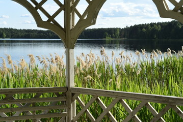 View of the lake, thickets of reeds on the shore, a forest from a wooden gazebo. Bokeh background.
