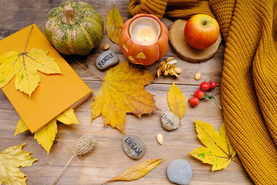 Autumn composition on rustic wooden table in garden with fallen yellow, orange leaves and berries, concept happy Thanksgiving day, hello autumn, nature protection, good weather, cozy autumn mood