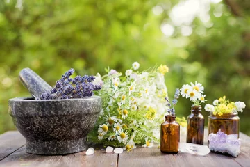 Homeopathy and herbal medicine concept outdoors © aprilante