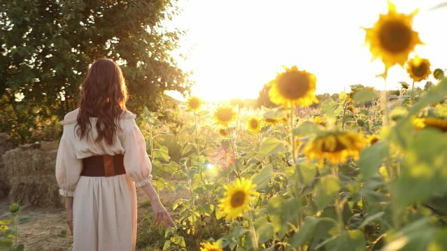 Pretty girl walking among yellow blooming sunflowers. Young woman going through field enjoying freedom and beautiful summer environment. Scenic nature landscape at background. 