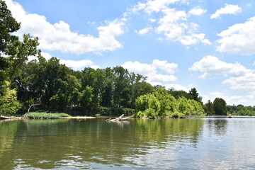 Fototapeta na wymiar Forest by a River