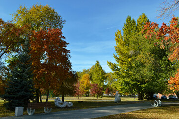 A beautiful multicolored landscape in an autumn park under a blue sky on a sunny day