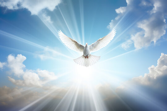 Spirit of god background banner panorama - White dove with wings wide open in the blue sky air with clouds and sunbeams | Generative AI