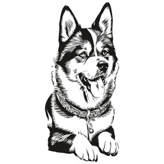 Akita dog black drawing vector, isolated face painting sketch line illustration