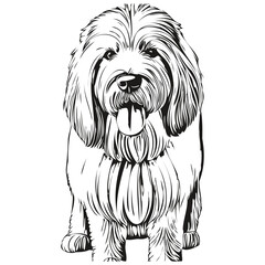 Old English Sheepdog dog t shirt print black and white, cute funny outline drawing vector realistic breed pet