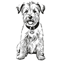 Sealyham Terrier dog head line drawing vector,hand drawn illustration with transparent background realistic breed pet