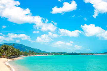 Obraz na płótnie Canvas Sea coast with sandy beach and palm trees. Vacation in the tropics. Travel and tourism