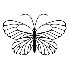 Sketch of a decorative butterfly, night moth.Vector graphics.