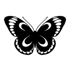 Sketch of a decorative butterfly, night moth.Vector graphics.