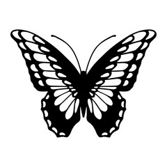 Sketch of a decorative butterfly, night moth.Vector graphics.