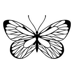 Sketch of a decorative butterfly, night moth.Vector graphics.