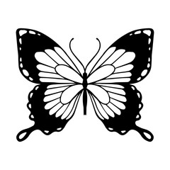 Sketch of a decorative butterfly, night moth.Vector graphics.