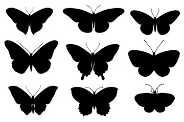 Set of silhouettes of butterflies, night moths.Vector graphics.