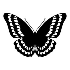 Sketch of a decorative butterfly, night moth.Vector graphics.