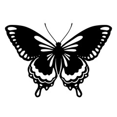 Sketch of a decorative butterfly, night moth.Vector graphics.