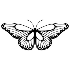 Sketch of a decorative butterfly, night moth.Vector graphics.