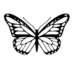 Sketch of a decorative butterfly, night moth.Vector graphics.
