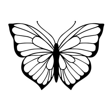 Sketch of a decorative butterfly, night moth.Vector graphics.