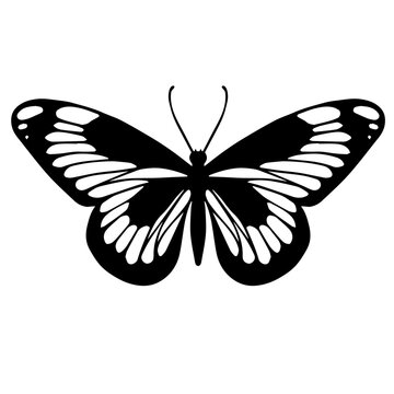 Sketch of a decorative butterfly, night moth.Vector graphics.