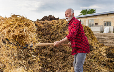 Farmer working and cleaning barn of manure