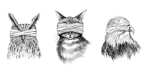 Blind Animals Ink Hand Drawing Set Owl, Cat, Eagle  