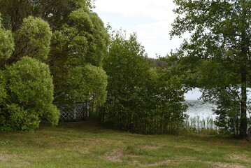A beautiful view of the lake through the overgrown shrubs, willow branches close the white gazebo...