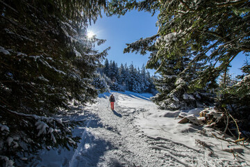 Rando raquette dans les Vosges