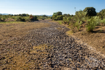 Cauce pedregoso y seco de un río en un soleado día de verano.