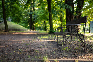 ławka przy ścieżce w parku ławki pośród drzew zielony klimat zachodnia polska - obrazy, fototapety, plakaty