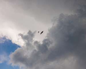 white storm clouds in sky background of nature. weather and climatic conditions, ecology. view of clouds from airplane window. Flight and freedom are religion. The top of sky and atmosphere, solar