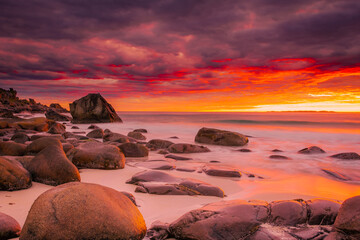 Dramatic midnight sunset with amazing colors over Uttakleiv beach on Lofoten Islands,  Norway