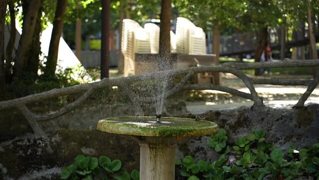Fonte Repuxo Parque 50fps